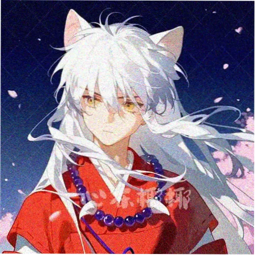 书友 老书虫阿岩 头像